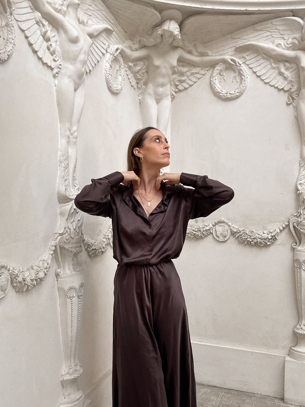 Camicia Clara pura seta marrone