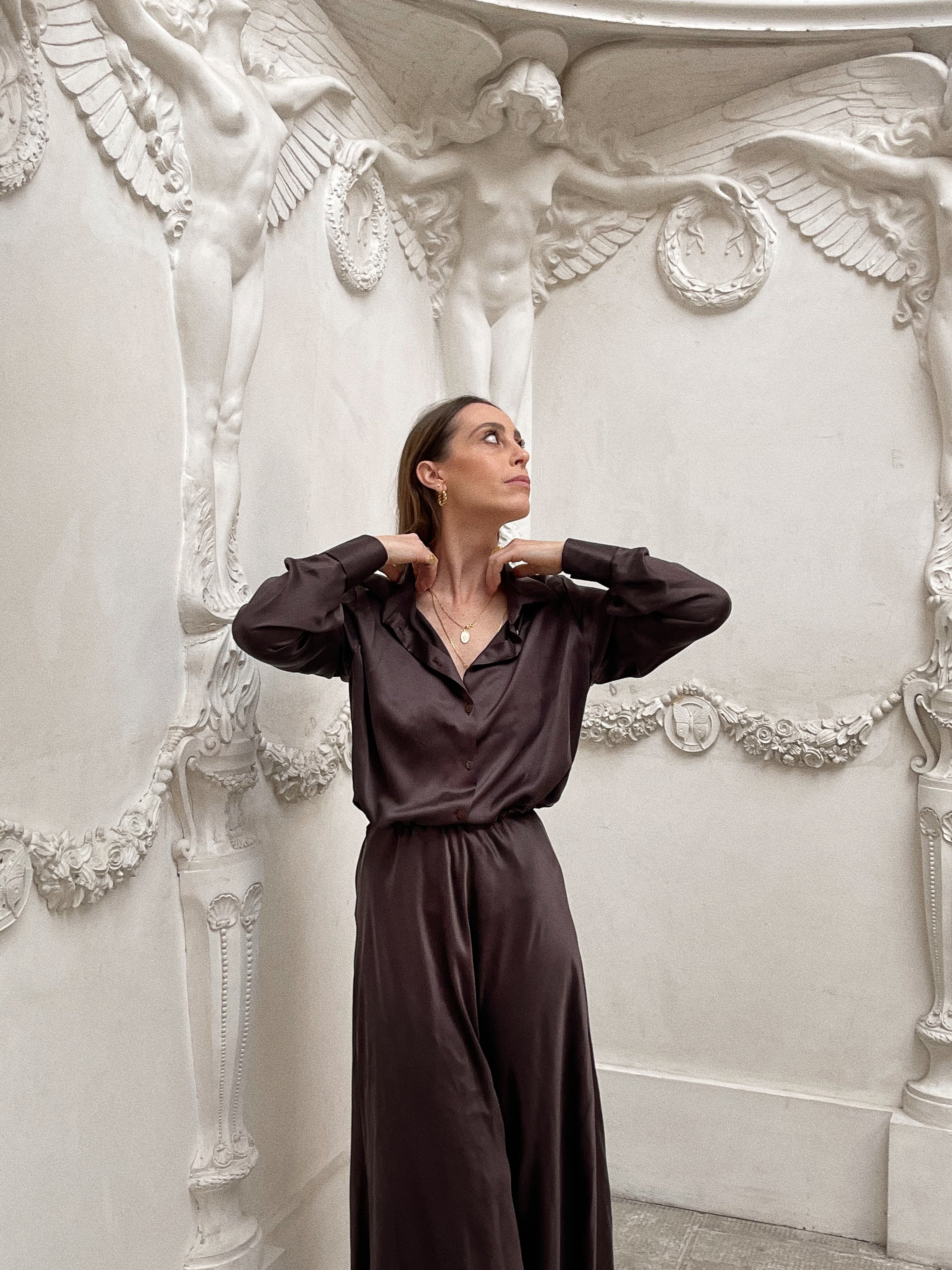 Camicia Clara pura seta marrone