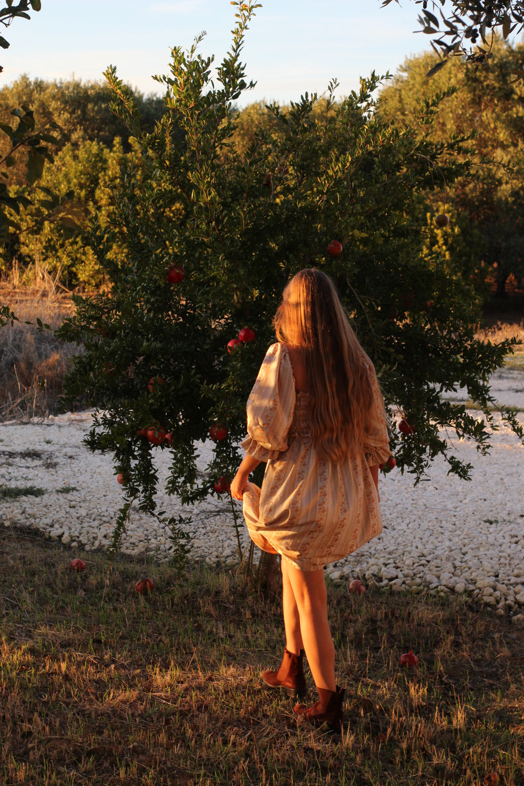 Abito Pic Nic