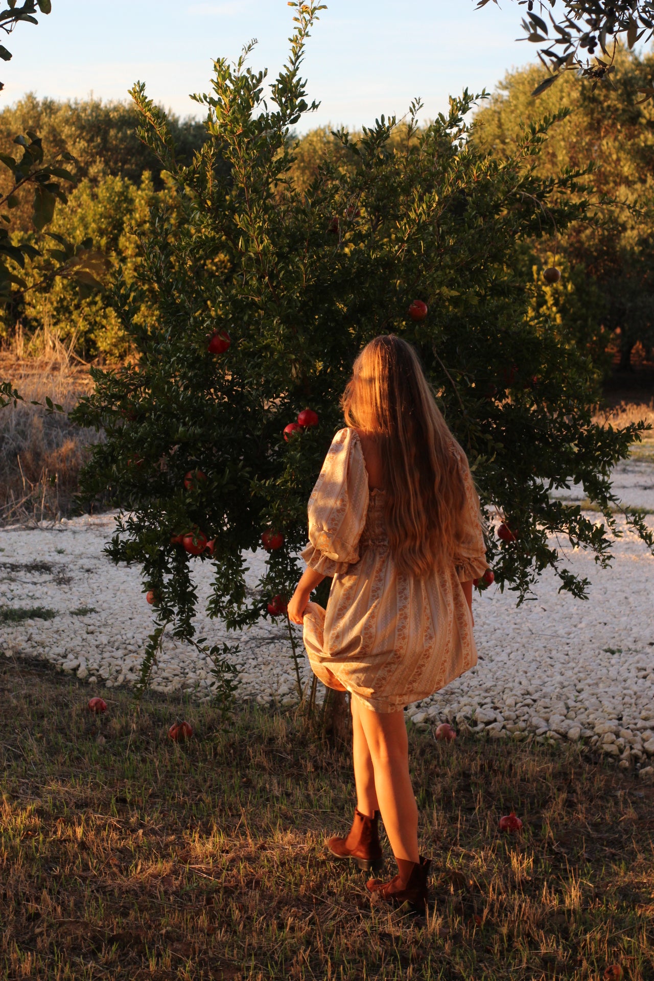 Abito Pic Nic