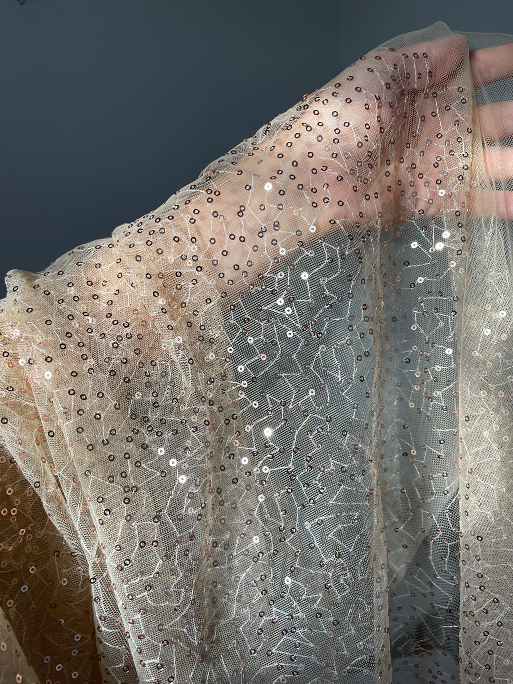 Tulle Ricamato Paillettes