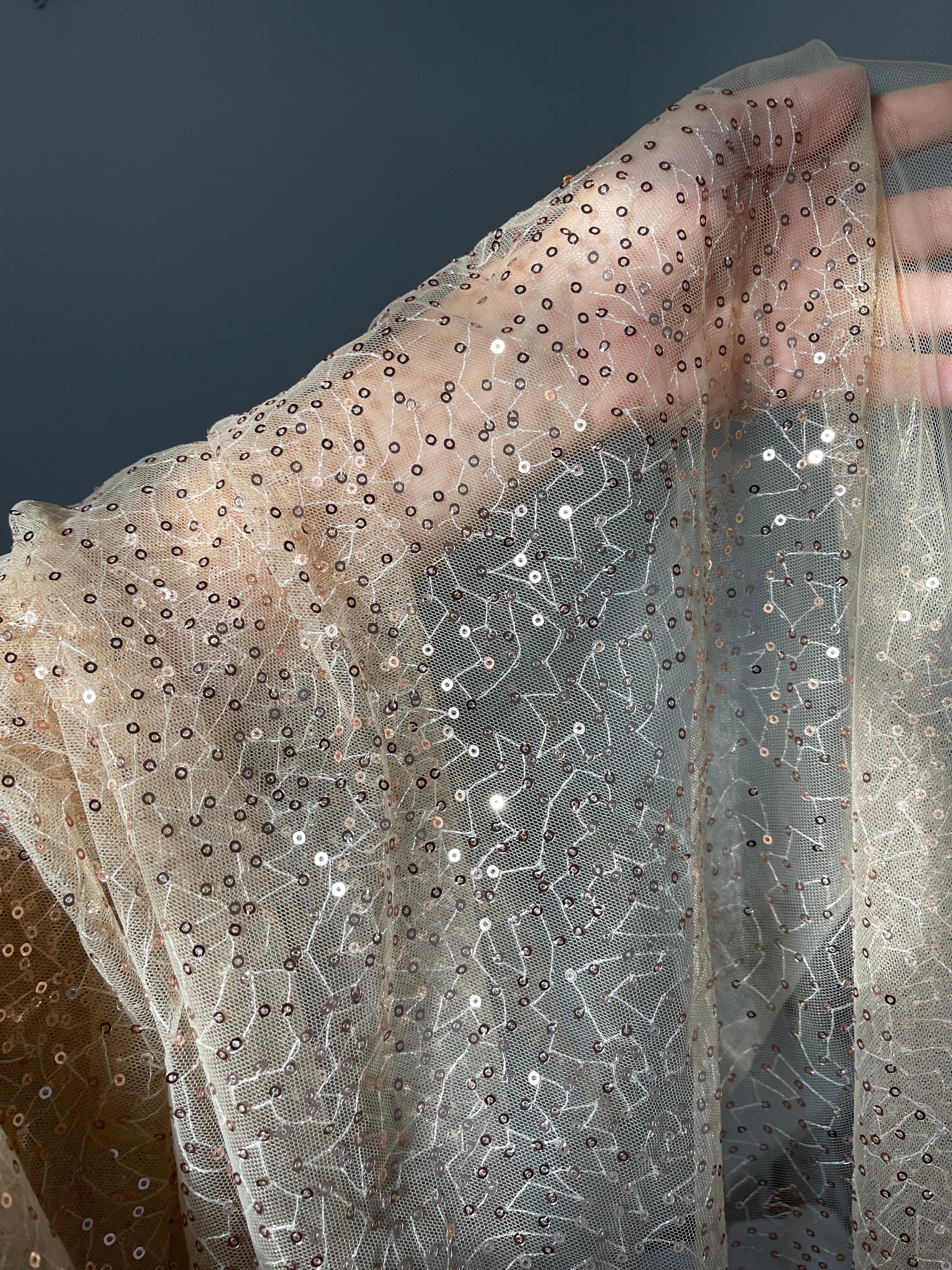 Tulle Ricamato Paillettes